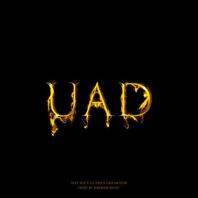 UAD's cover