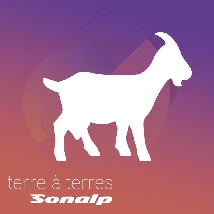 Sonalp's avatar image