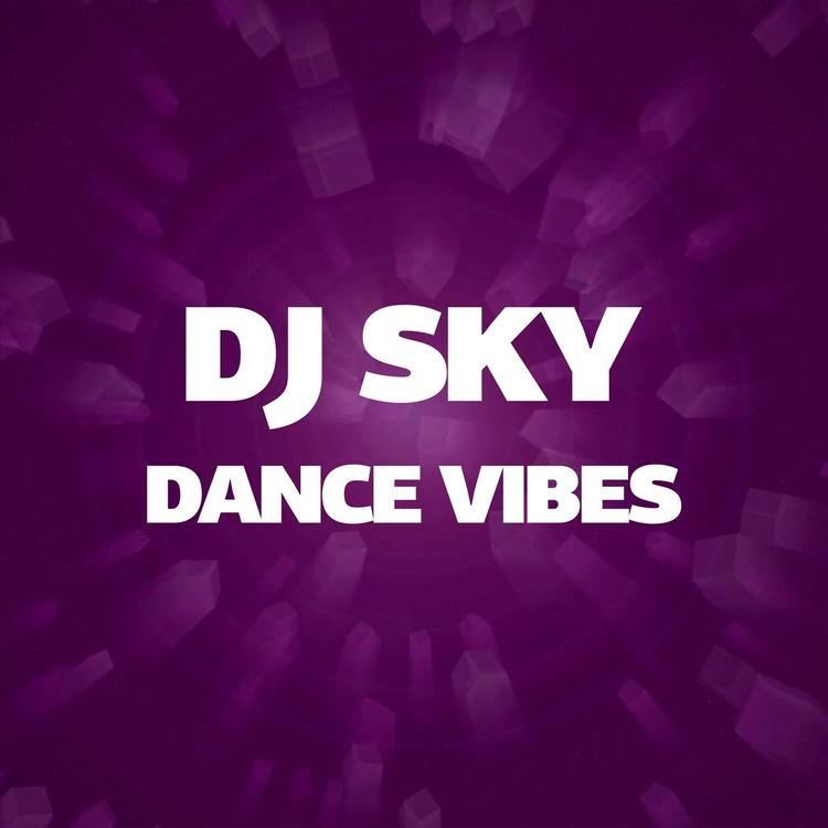 DJ SKY's avatar image