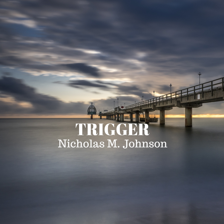 Nicholas M. Johnson's avatar image