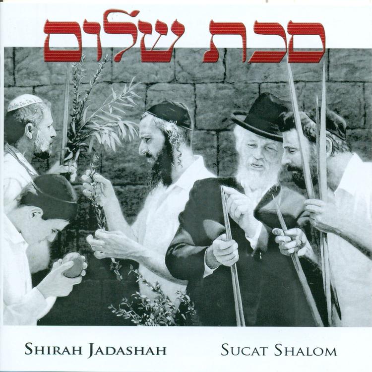 Shirah Jadashah's avatar image