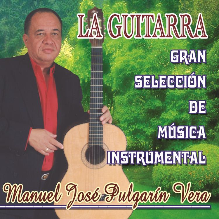 Manuel José Pulgarín Vera's avatar image