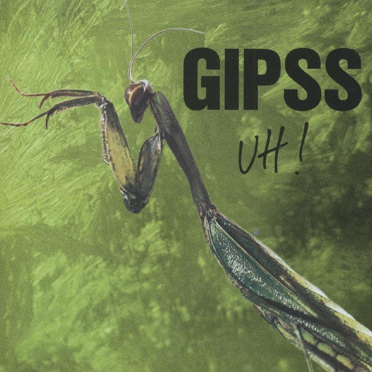 Gipss's avatar image