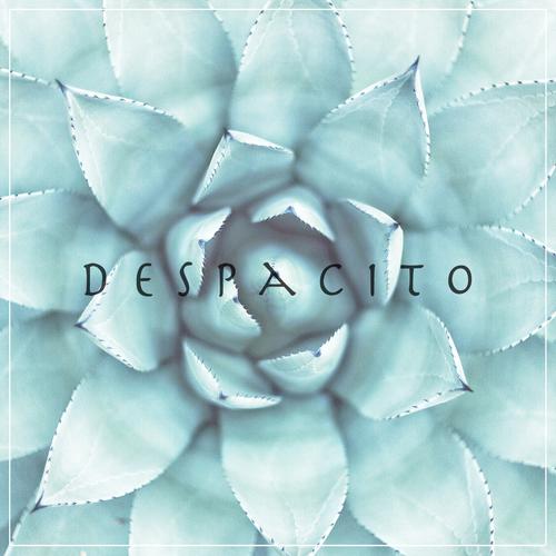 Despacito's cover