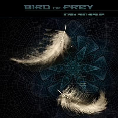 Stargazer By Bird of Prey's cover