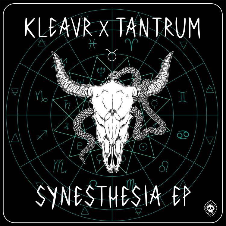 Kleavr x Tantrum's avatar image