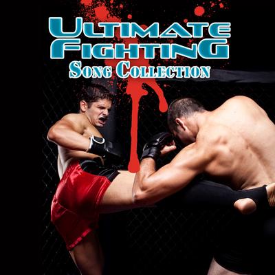 Metalingus  (Wrestling Theme song) By Ultimate Fight Club Players's cover