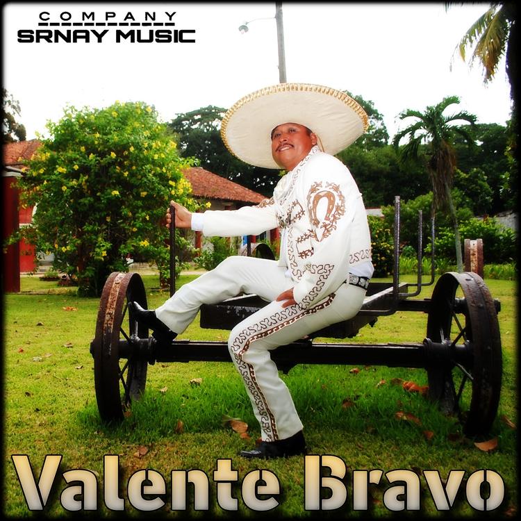 Valente Bravo's avatar image