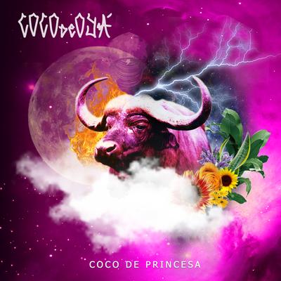 Coco de Princesa By Côco de Oyá, Alessandra Leão's cover