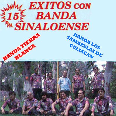 15 Exitos Con Banda Sinaloense's cover