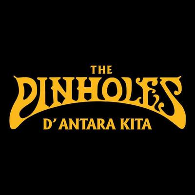 The Pinholes's cover