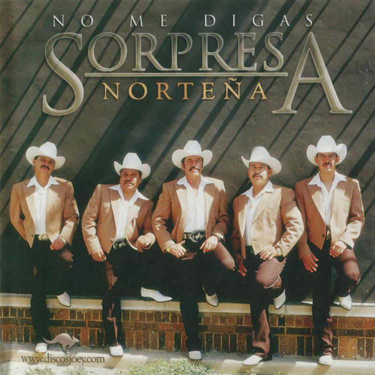 Sorpresa Norteña's avatar image