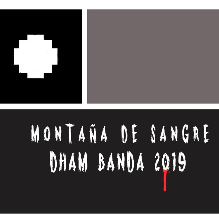 Dham Banda Chile's avatar image