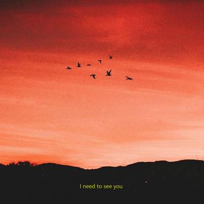 I Need to See You By Vinyll's cover