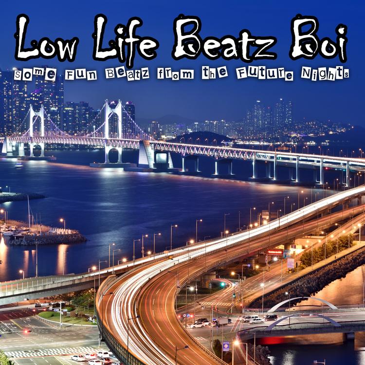 Low Life Beatz Boi's avatar image
