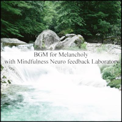 Mindfulness Neuro Feedback Laboratory's cover