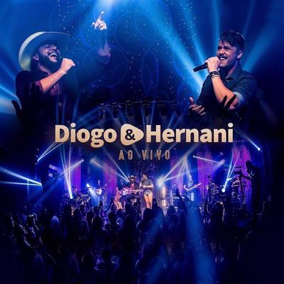 A Dama e o Vagabundo (Ao Vivo) By Diogo & Hernani, Rick & Ricardo's cover