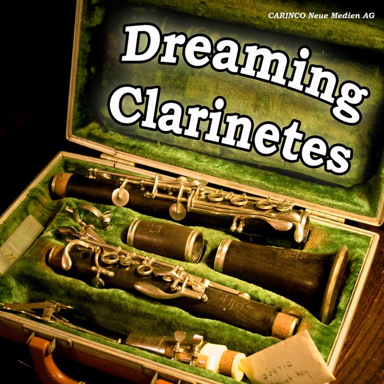 Dreaming Clarinets's avatar image