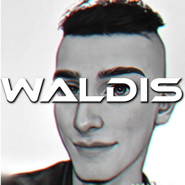 Waldis's avatar image