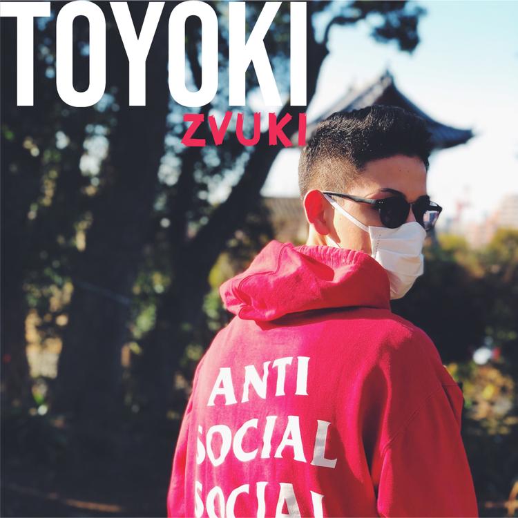 Toyoki's avatar image