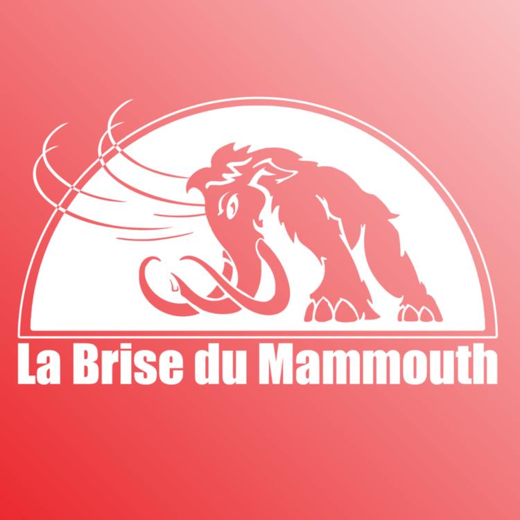 La Brise du Mammouth's avatar image