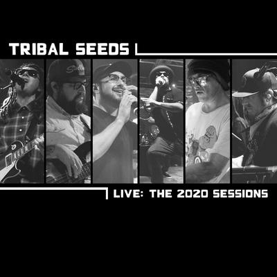 Dark Angel (Live) By Tribal Seeds's cover