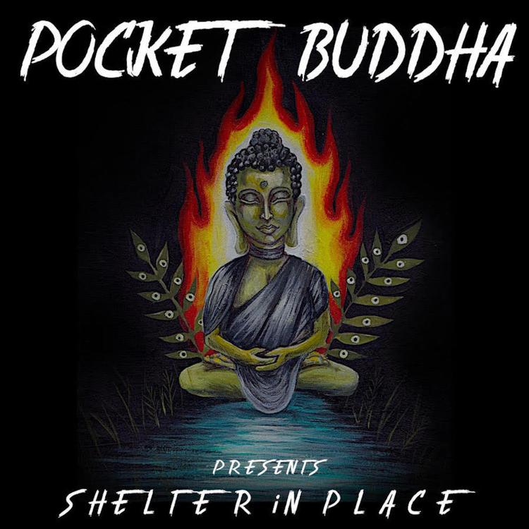 Pocket Buddha's avatar image