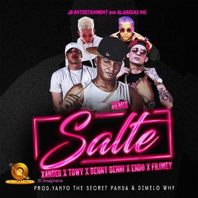 Salte (Remix)'s cover