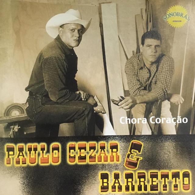 Paulo Cezar e Barreto's avatar image