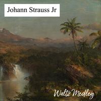 Johann Strauss Jr.'s avatar cover