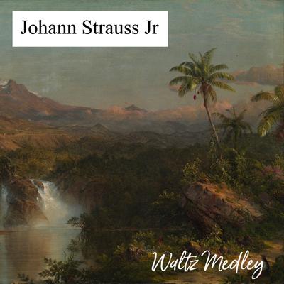 Johann Strauss Jr.'s cover