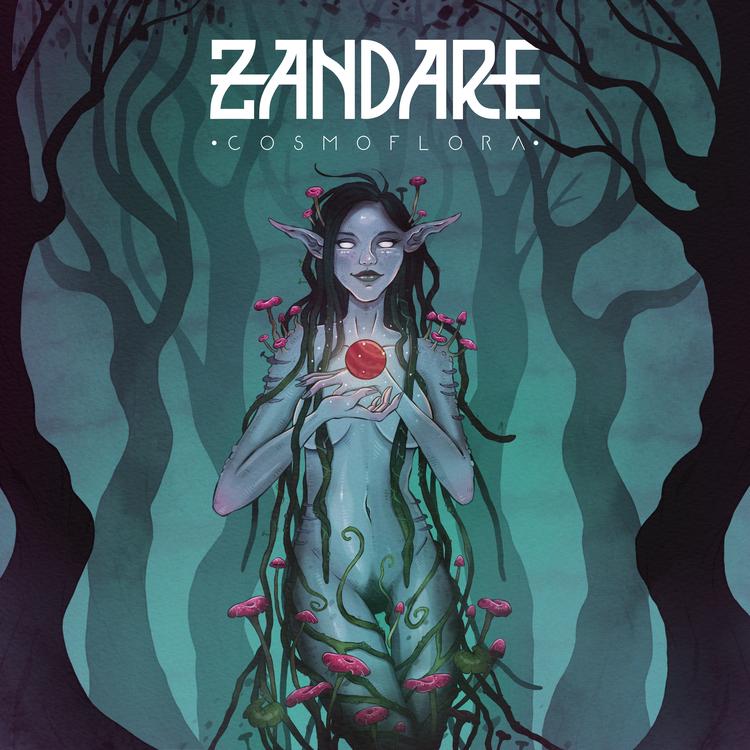 Zandare's avatar image
