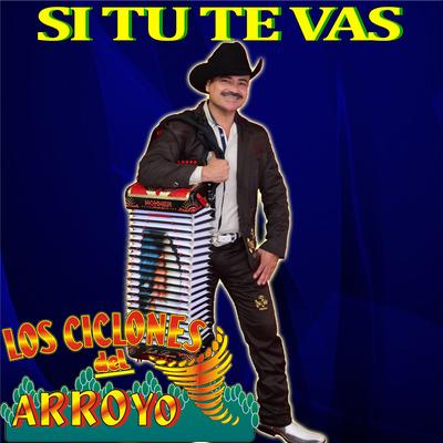 Si Tu Te Vas's cover