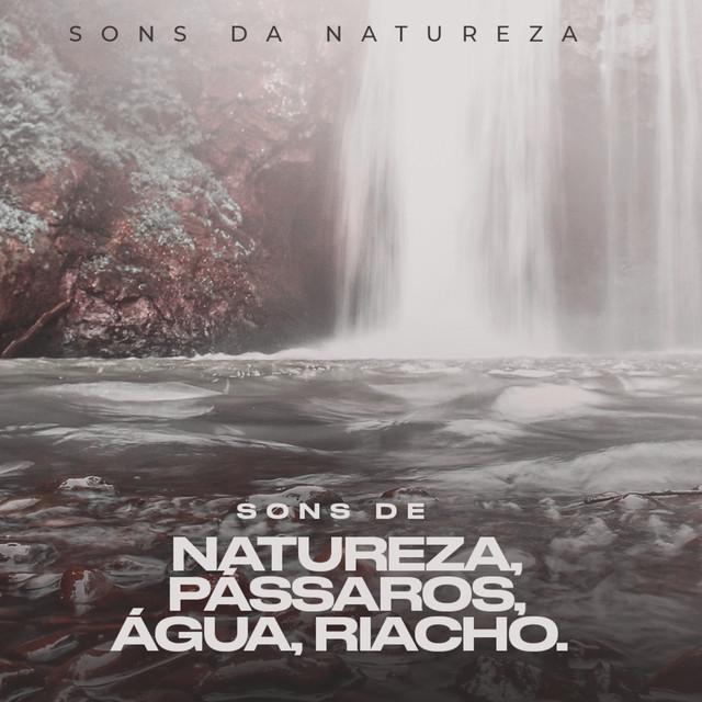 Sons da Natureza's avatar image
