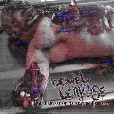 Bowel Leakage's cover