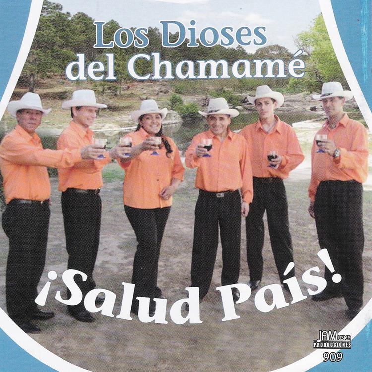 Los Dioses del Chamamé's avatar image