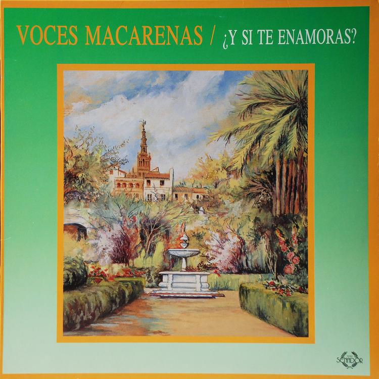 Voces Macarenas's avatar image