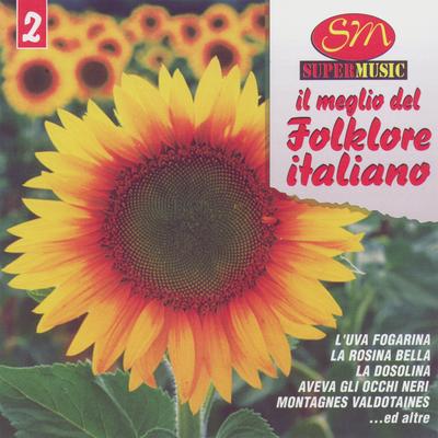 Amore Mio Non Piangere By Il Meglio del Folklore Italiano's cover