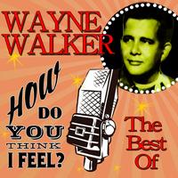 Wayne Walker's avatar cover
