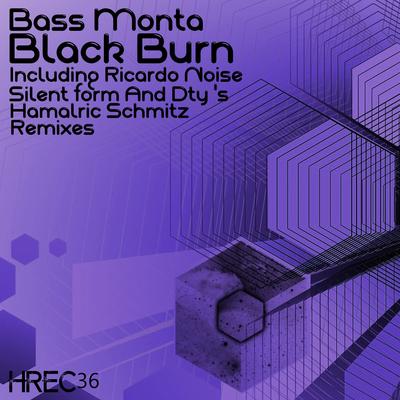 Black Burn (Ricardo Noise Remix) By Bass Monta, Ricardo Noise's cover