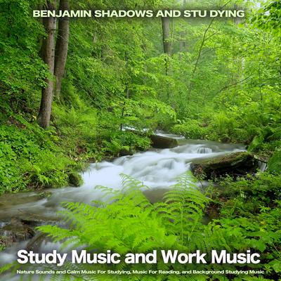 Piano Reading and Study Music By Benjamin Shadows, Stu Dying, Study Music & Sounds's cover