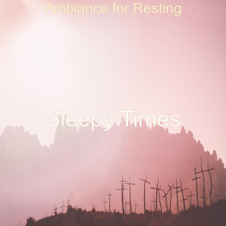 Sleepy Times's avatar image