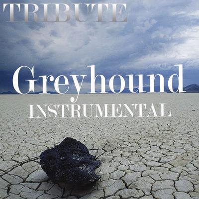 Greyhound (Swedish House Mafia Tribute)'s cover