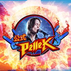 Pellek's cover