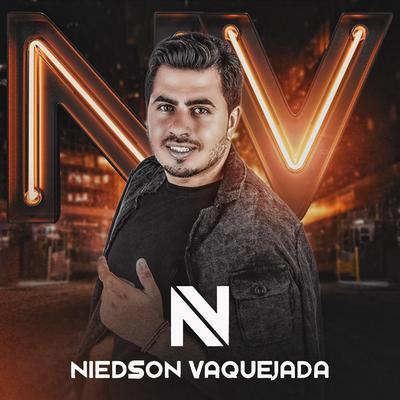 Nada Mais (feat. Junior Vianna) By Niedson Vaquejada, Junior Vianna's cover