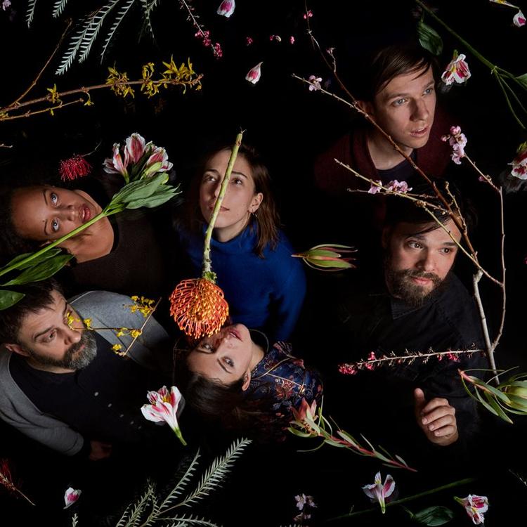 Dirty Projectors's avatar image
