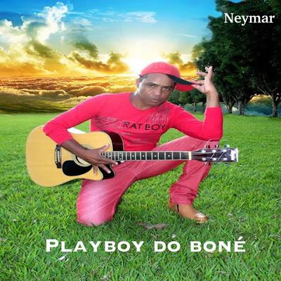 Brincante do Forró By Playboy do Boné's cover