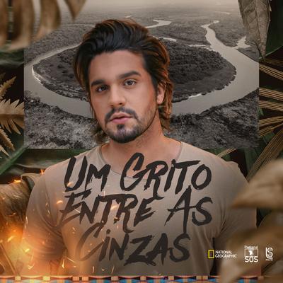 Um Grito Entre As Cinzas By Luan Santana's cover