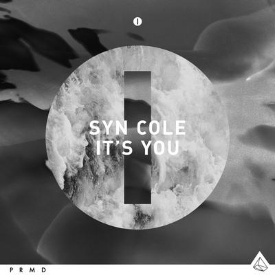 It's You (Radio Edit) By Syn Cole's cover