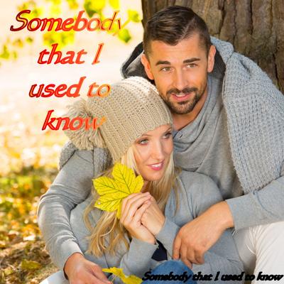 Somebody That I Used to Know By Somebody That I Used To Know's cover